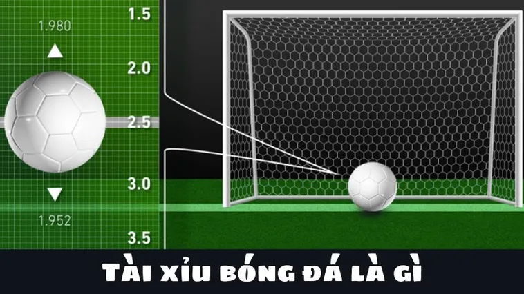 Tìm Hiểu Kèo Tài Xỉu Bóng Đá Và Cách Phân Tích Chuyên Sâu
