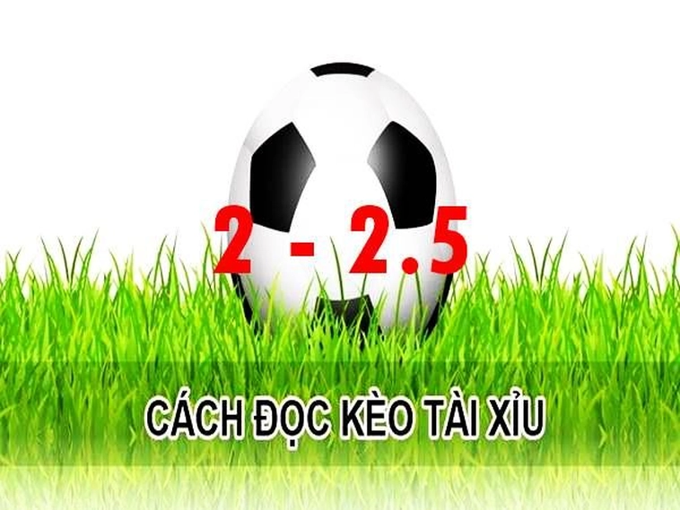 Khám Phá Ý Nghĩa Kèo 2.25 Và Quy Luật Bàn Thắng Toàn Cầu