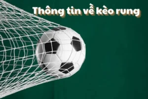 Hướng Dẫn Cách Chơi Kèo Rung Trong Bóng Đá Đạt Hiệu Quả Cao